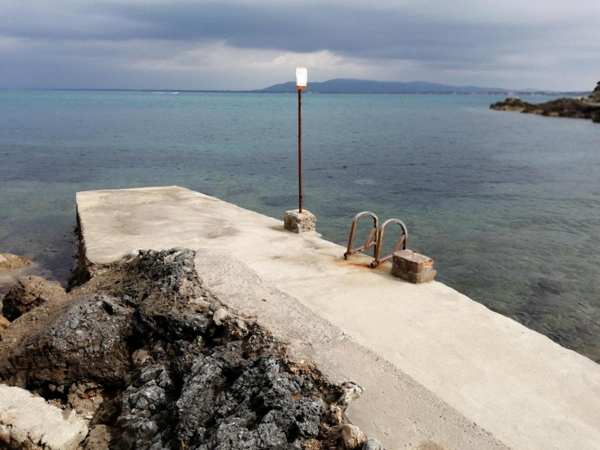 Villa Flora Argentario Porto Santo Stefano  Exteriér fotografie
