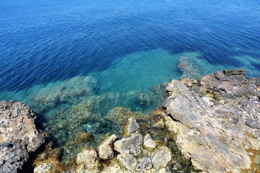 Villa Flora Argentario Porto Santo Stefano  Exteriér fotografie