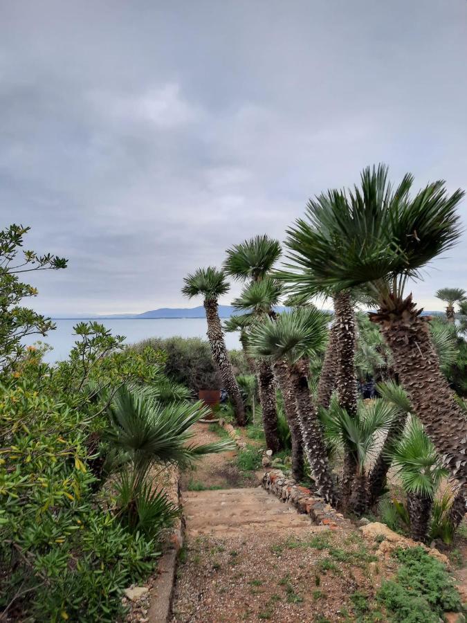 Villa Flora Argentario Porto Santo Stefano  Exteriér fotografie