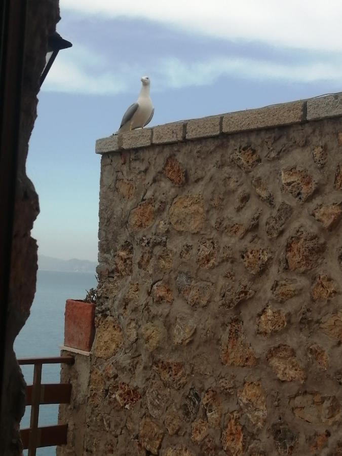 Villa Flora Argentario Porto Santo Stefano  Exteriér fotografie